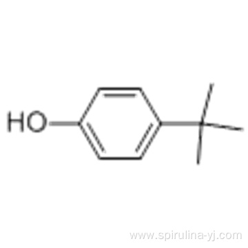 4-tert-Butylphenol CAS 98-54-4